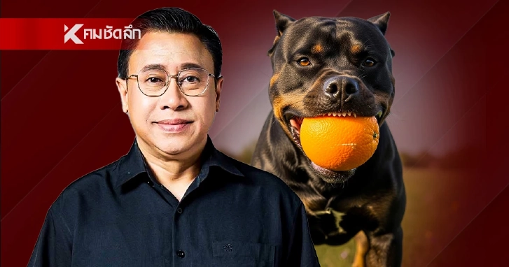 "จักรภพ เพ็ญแข" โพสต์หมาคาบส้ม เดือด! เกือบ 100 ไม่ยอมไป เพราะเพื่อนเทาๆ