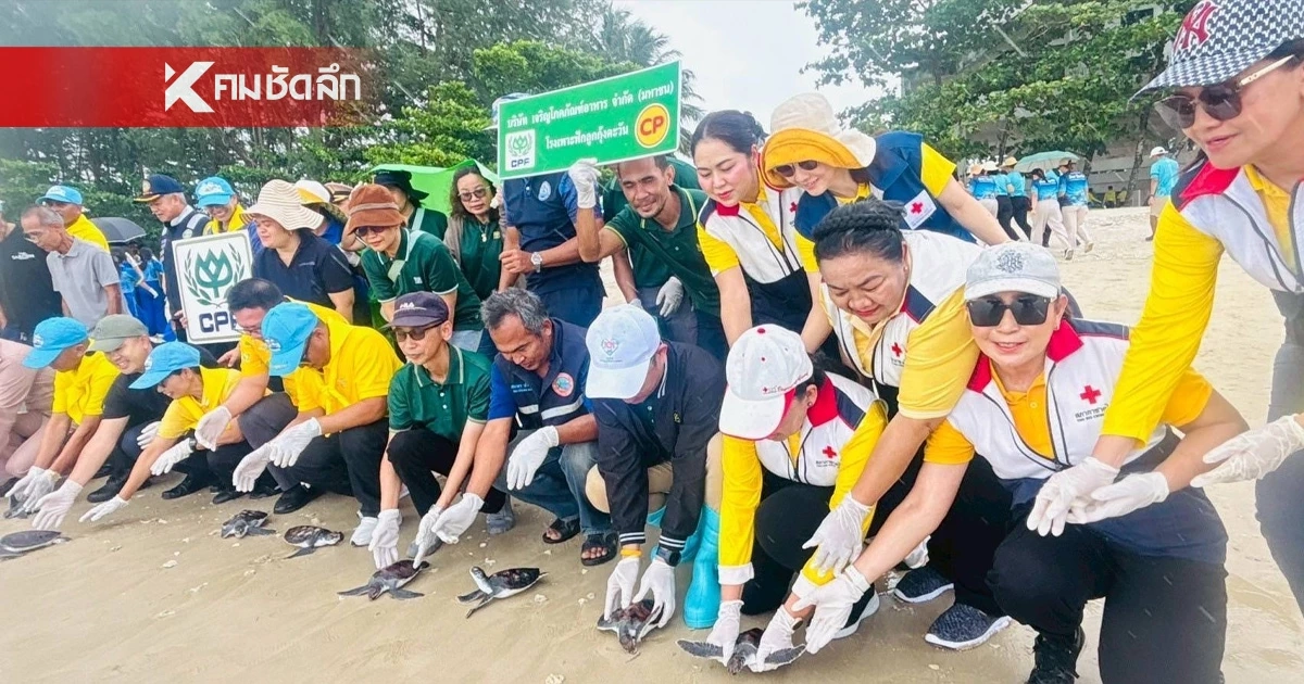 ซีพีเอฟและบริษัทในเครือซีพี รวมพลังเก็บขยะชายหาด ฟื้นฟูระบบนิเวศทางทะเล ซีพีเอฟและบริษัทในเครือซีพี รวมพลังเก็บขยะชายหาด ฟื้นฟูระบบนิเวศทางทะเล