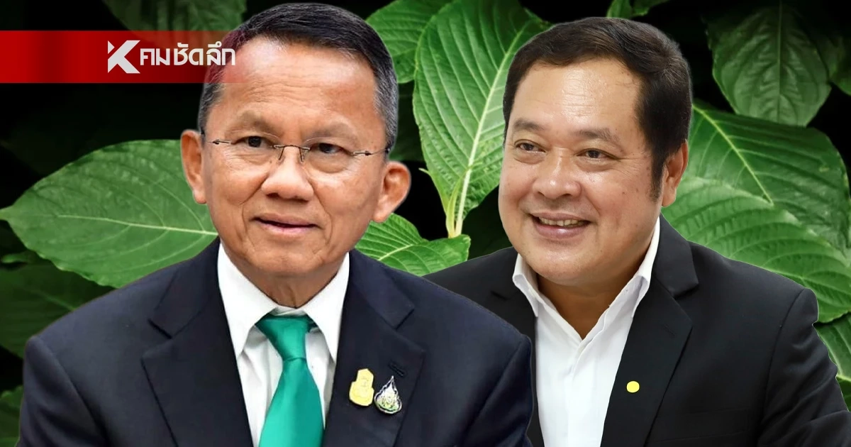 ด่วน! ยธ.-สธ. ประกาศคุมเข้ม "ใบกระท่อม" ฝ่าฝืนปรับ 5 หมื่น