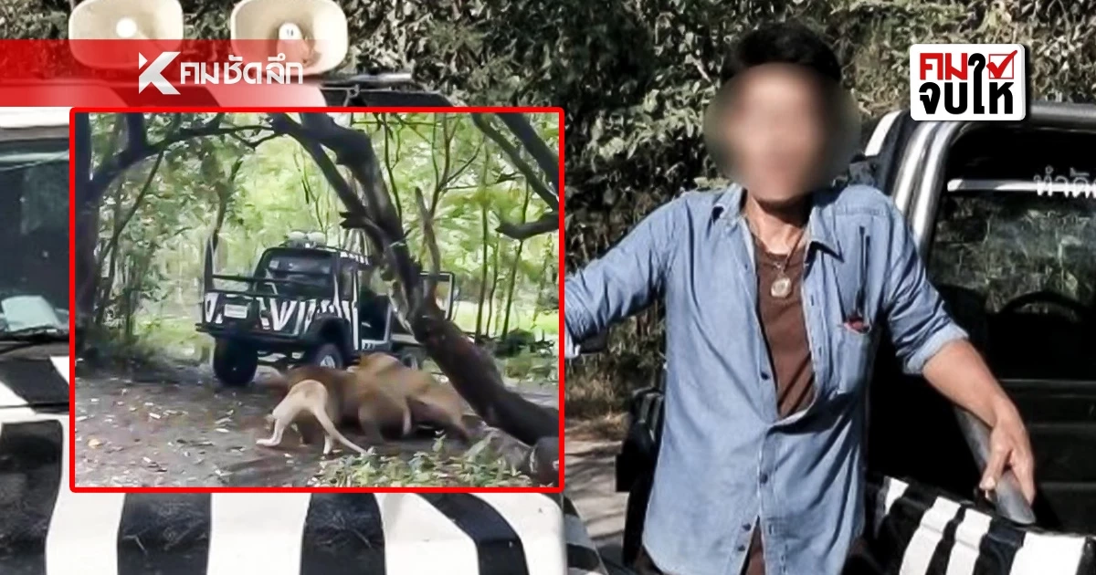 สรุปข่าว "ฝูงสิงโต" รุมขย้ำ "เจ้าหน้าที่" เสียชีวิต สาเหตุเกิดจากอะไร