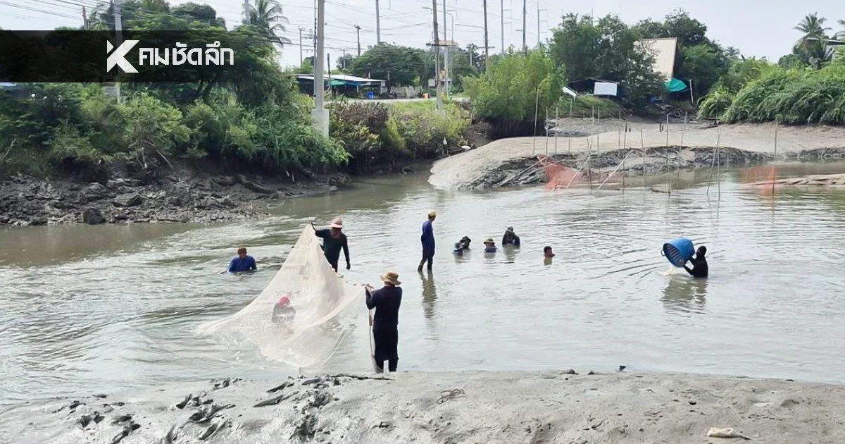 ปิดเกมเอเลียนรุก! มาตรการเข้มข้นทำ ‘ปลาหมอคางดำ’ ลดลงต่อเนื่อง