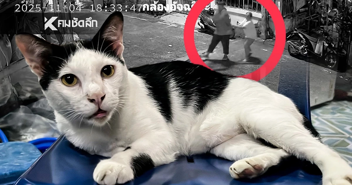 โหดเกิน! "เพื่อนบ้าน" โมโห "แมว" กินหญ้า ลูกชายเดือด.. คว้าปืXขู่ เปิดภาพวงจรปิด