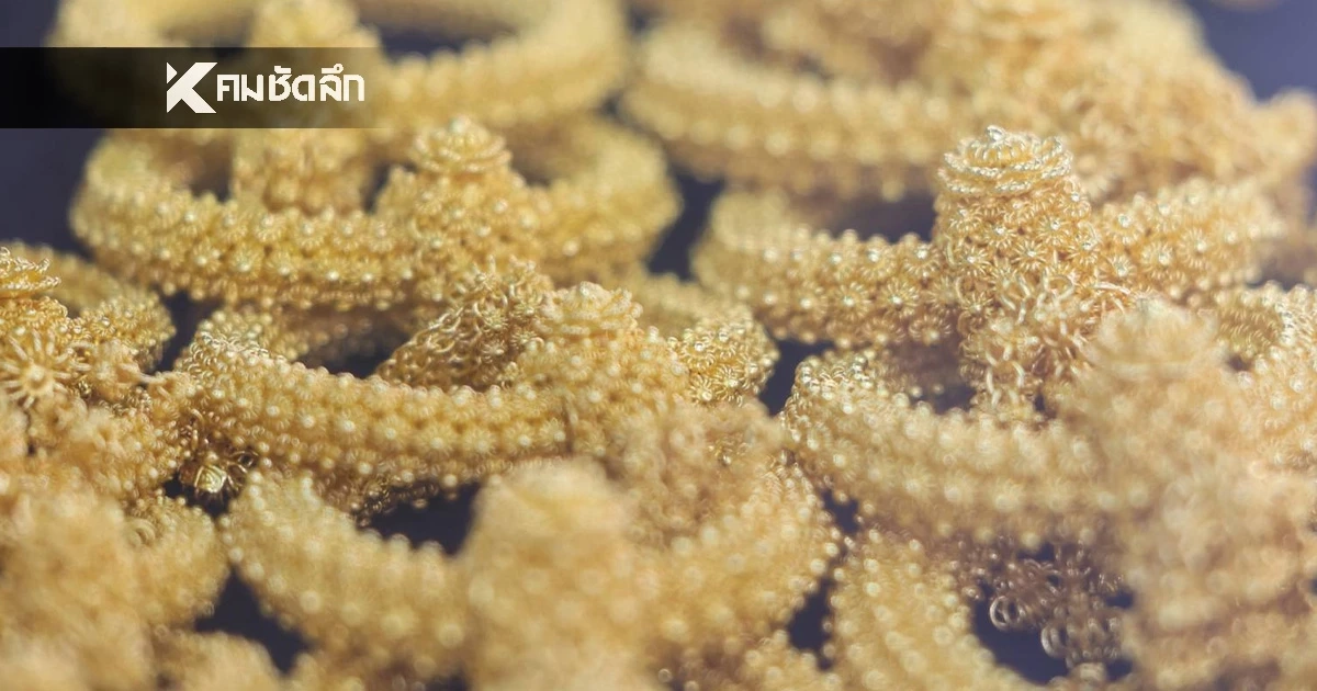 อัปเดต ราคาทอง วันนี้ 24 พ.ย. 68 เปืดตลาด "ปรับลง" เช็กราคาทอง ล่าสุดกี่บาท