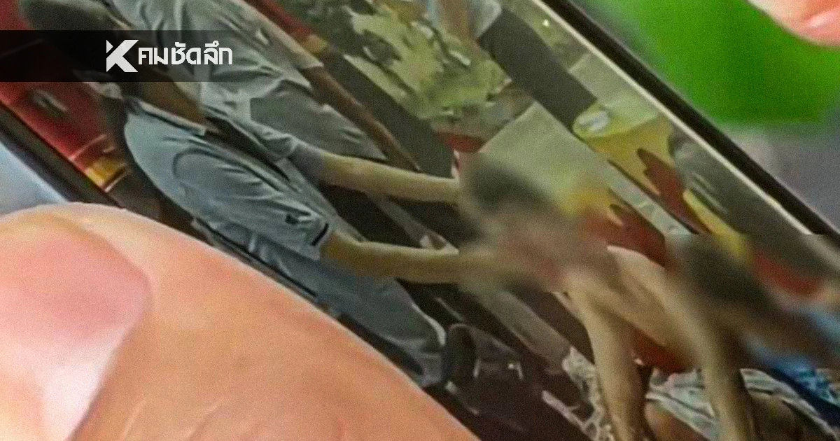 ครูจุดไฟเผารังแตน ลวกเด็กชาย ป.5 สาหัส ครอบครัวจี้ถามหา ความรับผิดชอบ