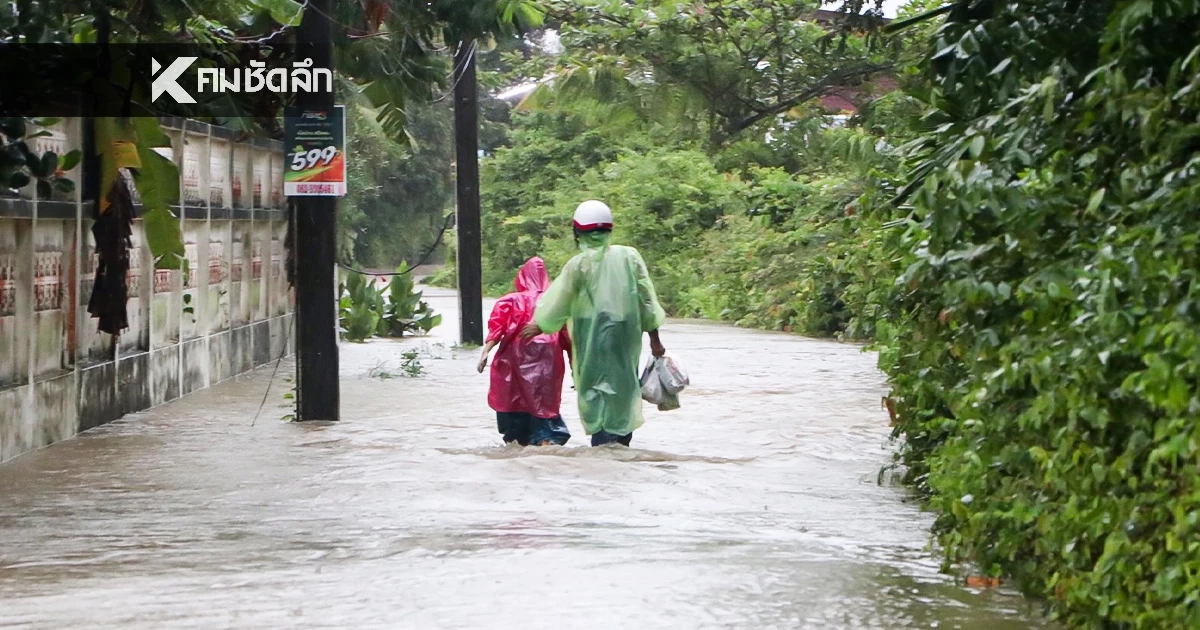อ่วมพัทลุง "ฝนถล่ม" ทั้งคืนทั้งวัน ปภ. เตือนภัยสูงสุด สั่งปิดกว่า 20 โรงเรียน อ่วมพัทลุง "ฝนถล่ม" ทั้งคืนทั้งวัน ปภ. เตือนภัยสูงสุด สั่งปิดกว่า 20 โรงเรียน