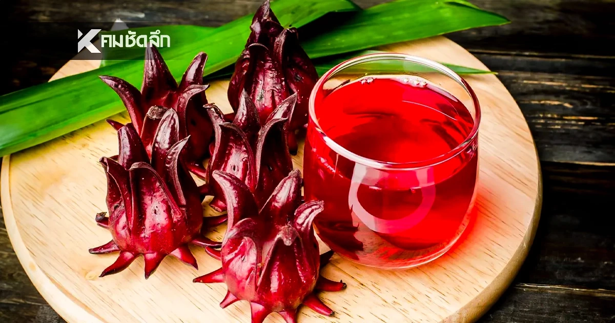 เตือนภัยสายสุขภาพดื่ม "น้ำกระเจี๊ยบ" มากไปเสี่ยง เลือดจาง-ไตวาย