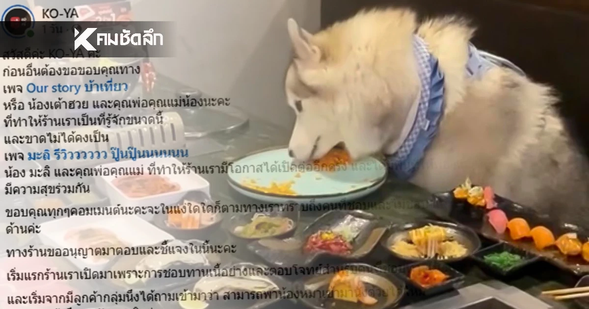 ชัดเจน! ร้านอาหาร โพสต์ชี้แจง ดราม่า "หมา" กินอาหารบนโต๊ะ