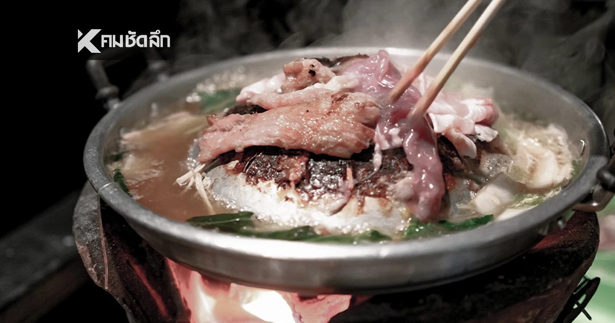 "หูดับ" คร่า 13 ชีวิต! โคราชสถิติพุ่งอันดับ 1 ประเทศ 'ใช้ตะเกียบคีบหมูดิบ' ในวงหมูกระทะ "หูดับ" คร่า 13 ชีวิต! โคราชสถิติพุ่งอันดับ 1 ประเทศ 'ใช้ตะเกียบคีบหมูดิบ' ในวงหมูกระทะ