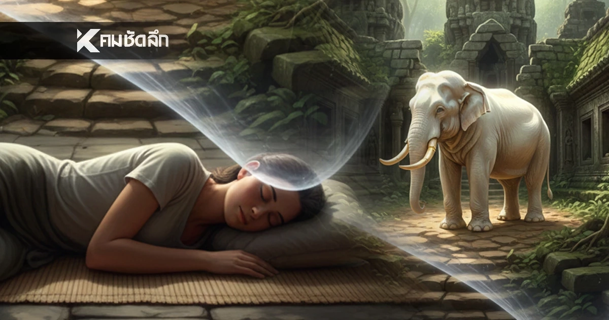 ทำนายฝัน 'ช้างในวัดร้างกลางป่า' นักเสี่ยงโชคตาลุก เปิดคำทำนาย–เลขมงคลแรง