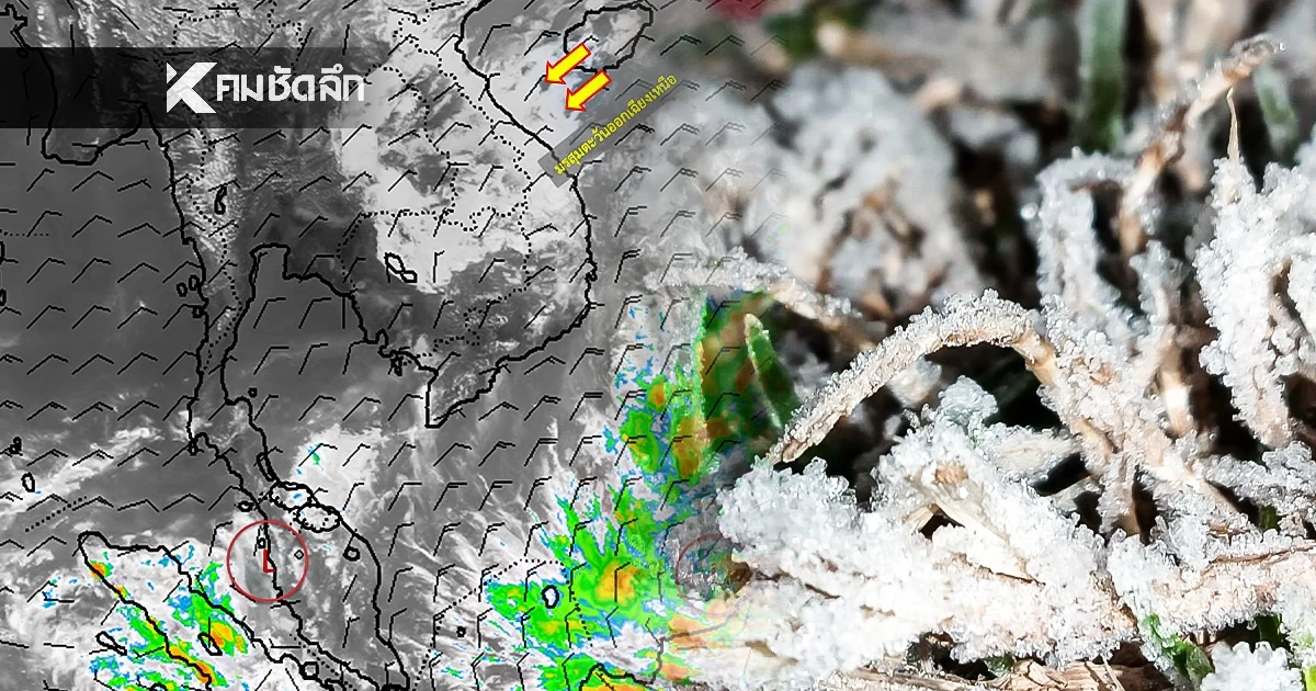 พยากรณ์อากาศวันนี้ 21 ธ.ค. 68 เหนือ-อีสาน อากาศหนาว ภาคใต้มีฝนเล็กน้อย