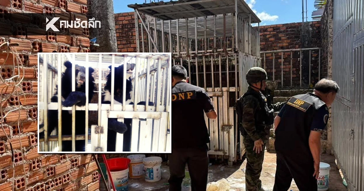 ฉก.นย.ตราด-กรมอุทยานฯ บุกช่วยสิงโต-หมี  5 ชีวิต ถูกขังในบ่อนกาสิโนเขมร