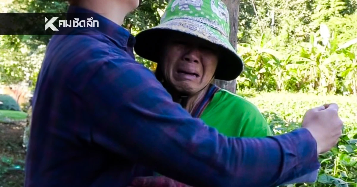 ตายายลำปาง ร้องทุกข์ ตัดไม้ 1 ต้น ถูกผู้นำหมู่บ้านแจ้งจับ ปรับหลักแสน