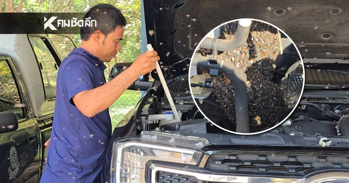 เลขทะเบียนรถ ขนลุก! ฝูงผึ้งนับหมื่นตัว บินอพยพทำรังในห้องเครื่อง เลขเด็ดงวดนี้