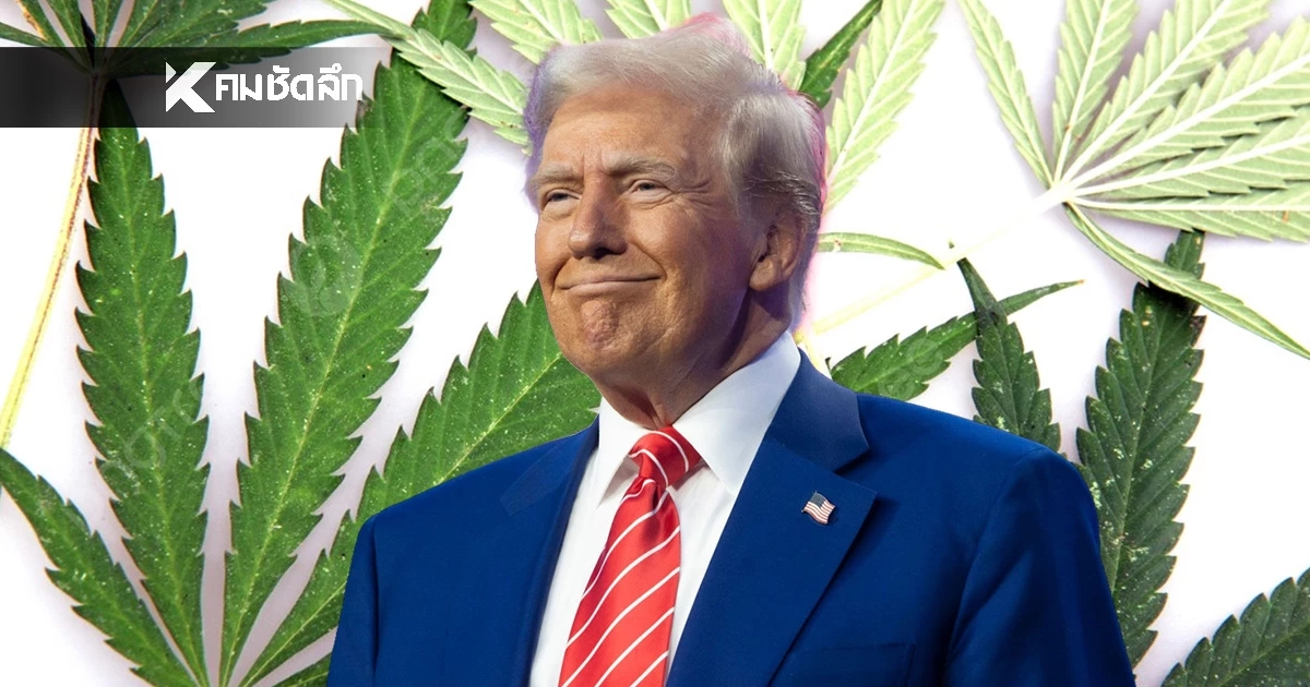 "ทรัมป์" ปลดล็อก "กัญชา" พ้นบัญชียาเสพติด เทียบเท่ายาแก้ปวด