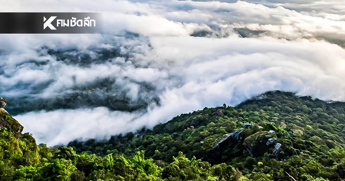 พยากรณ์อากาศวันนี้ 9/12/68 สาเหตุไทยอากาศเย็นลง อัปเดตแผ่นดินไหว