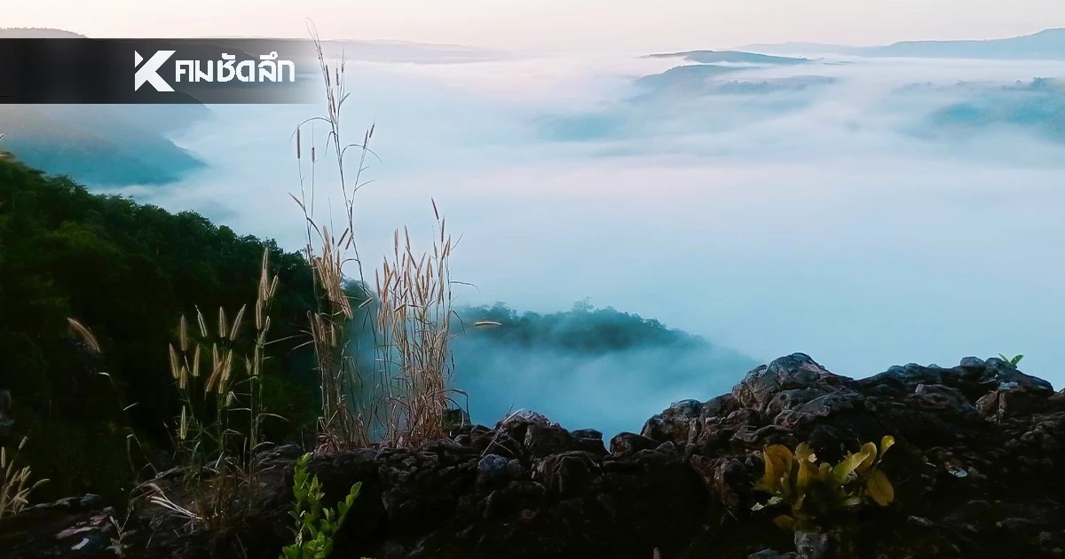 อากาศวันนี้ อุตุฯ เตือนไทยตอนบน อากาศเย็นลง ลมแรง อุณภูมิลด 1-3 องศา