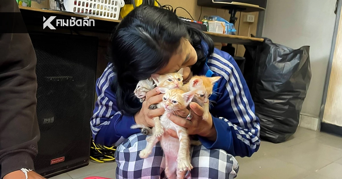 จบภารกิจ! ตำรวจทางหลวง ช่วยแมวแม่ลูก พลัดหลง กลับสู่อ้อมอกเจ้าของ