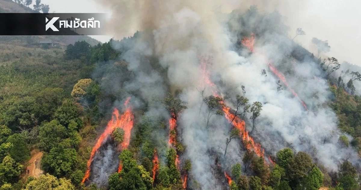 เช็กโทษ! ลอบเผาในที่โล่งและเขตควบคุม ปรับหลักแสน ติดคุกหลักปี