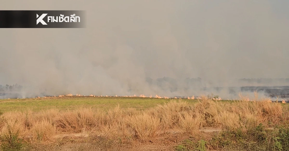 ไฟลามทุ่ง นครนายก เริ่มคลี่คลาย ผู้ว่าฯ สั่งล่าตัว-เอาผิดมือเผา