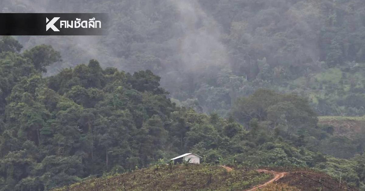 เช็กสภาพอากาศวันนี้ ไทยตอนบนอุ่นขึ้นแต่หมอกหนา ส่วนอ่าวไทยคลื่นแรง