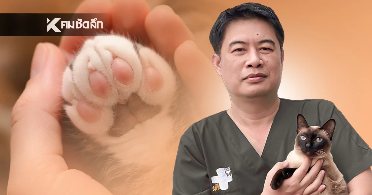 "หมอข้าวโพด" เผย 4 สัญญาณเตือน วาระสุดท้าย "หมา-แมว" กำลังจะจากเราไป