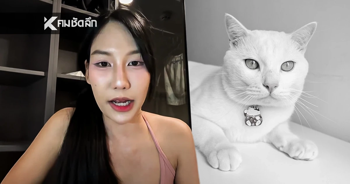 ชัดแล้ว! สาเหตุเสียชีวิต "ไข่ขาว" แมวเซเลบชื่อดัง เกิดจากอะไร
