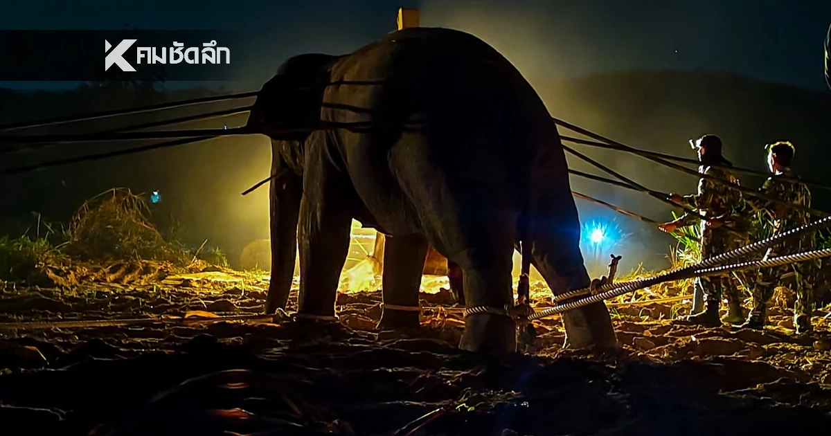 เปิดผลชันสูตร "สีดอหูพับ" สำลักอาหารอุดตันหลอดลม-หัวใจล้มเหลว