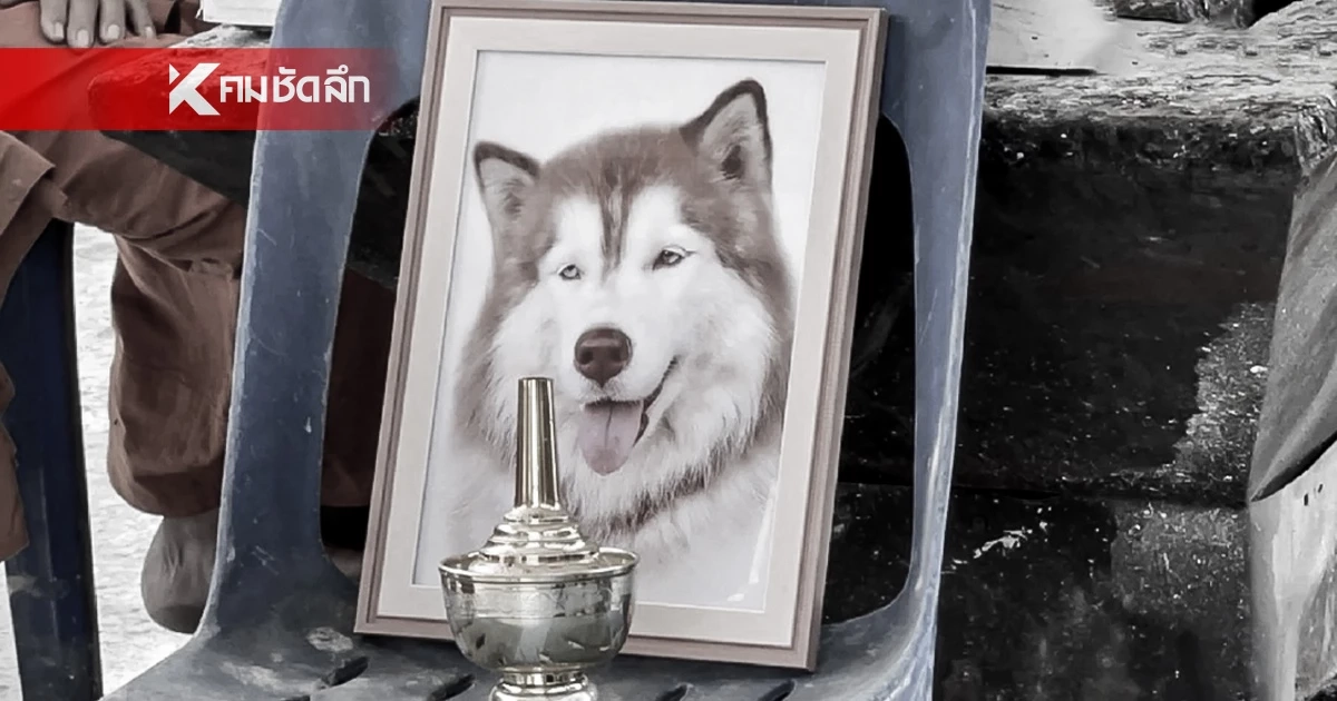 จับได้แล้ว! คนทำร้าย “น้องมอลลี่” ตำรวจเตรียมแจงรายละเอียด