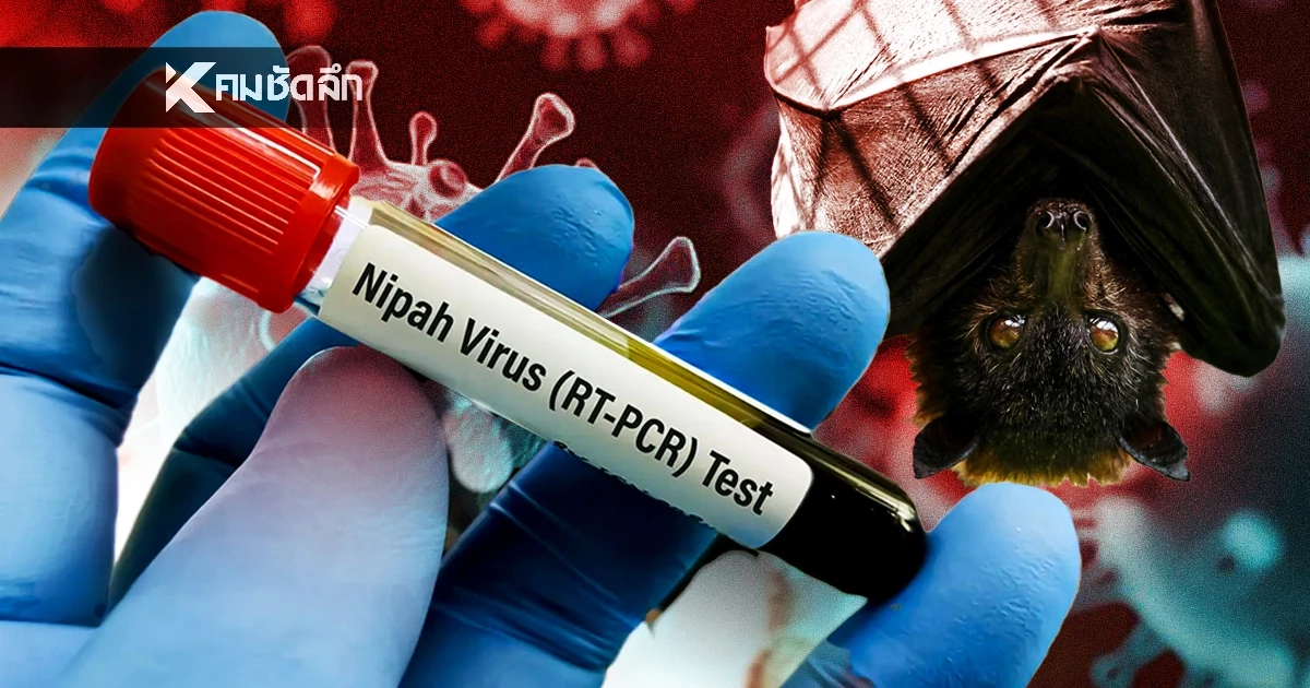 จีนพบยา "VV116" ต้านโควิดมีฤทธิ์ปราบ "ไวรัสนิปาห์" เร่งผลักดันเป็นยาหลัก