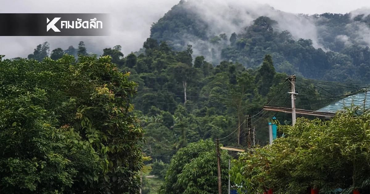 อุตุฯ เตือนมวลอากาศเย็นจีนจ่อคลุมอีสานคืนนี้ กทม.-กลาง เจอฝนฟ้าคะนองบางแห่ง"