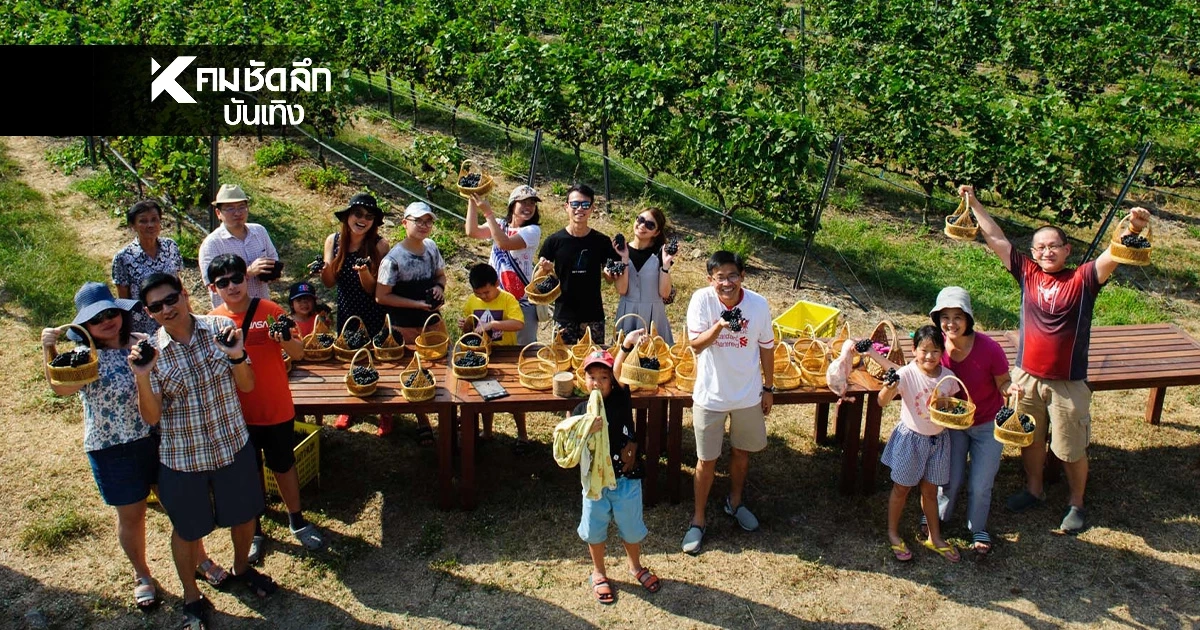 Monsoon Valley Harvest Festival 2026 ประสบการณ์สุดเอ็กซ์คลูซีฟ