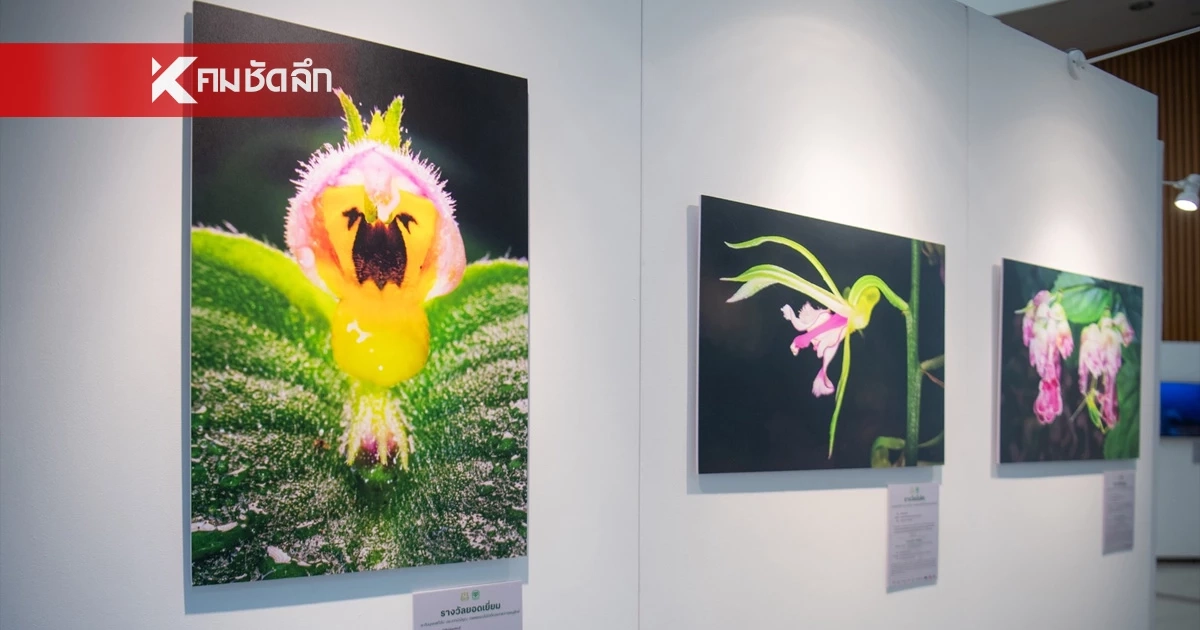 กระทรวงทรัพย์ฯ จับมือ เครือซีพี ชวนชม “สัตว์มีค่า ป่ามีคุณ”