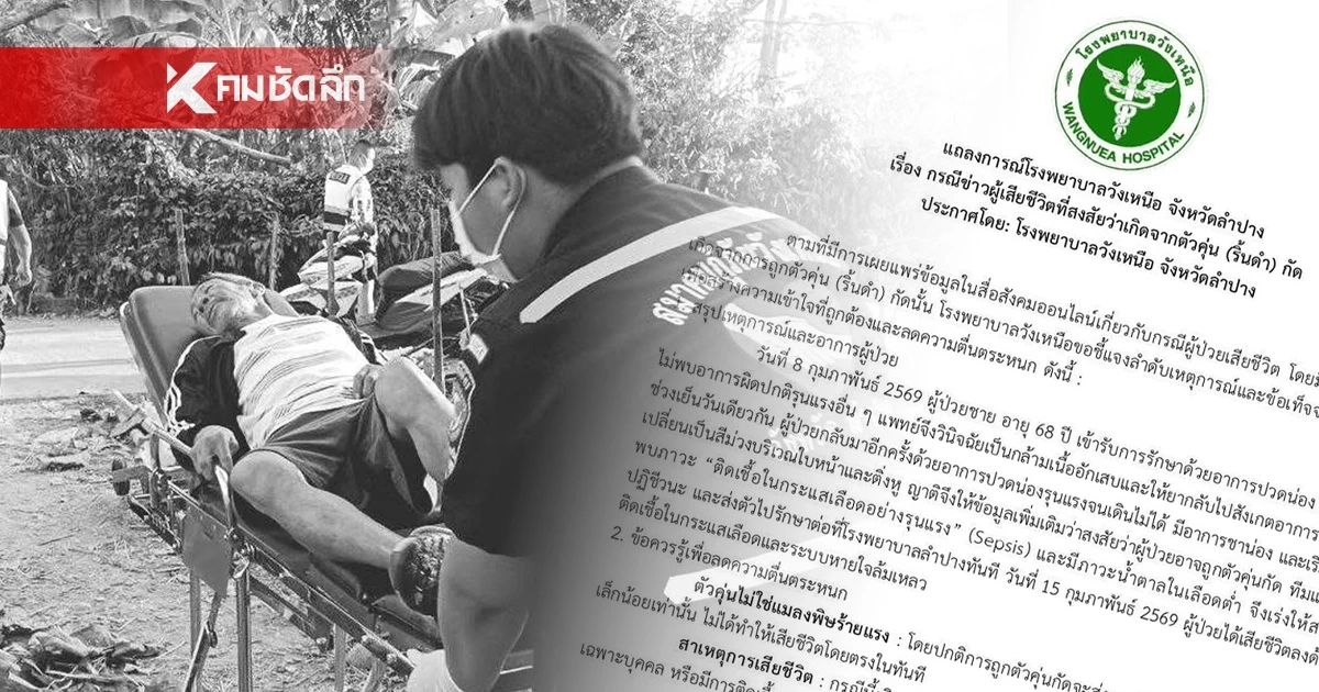 ลำปางผวา "ตัวคุ่น" มรณะกัดดับจริงหรือ? หมอเบรก! เผยสาเหตุเสียชีวิต