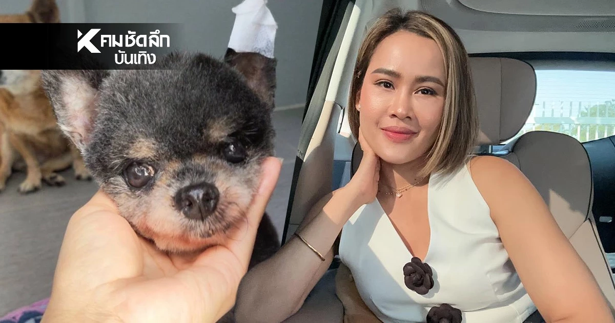 โกรธตัวสั่น ‘หนูเล็ก ก่อนบ่าย’  ร้านตัดขนทำชุ่ย ตัดหูลูกรักขาดลึก 2 เซน