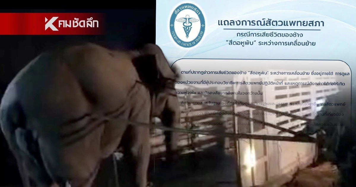 สัตวแพทยสภา ออกแถลงการณ์ กรณีการเสียชีวิตของช้าง "สีดอหูพับ" สัตวแพทยสภา ออกแถลงการณ์ กรณีการเสียชีวิตของช้าง "สีดอหูพับ"