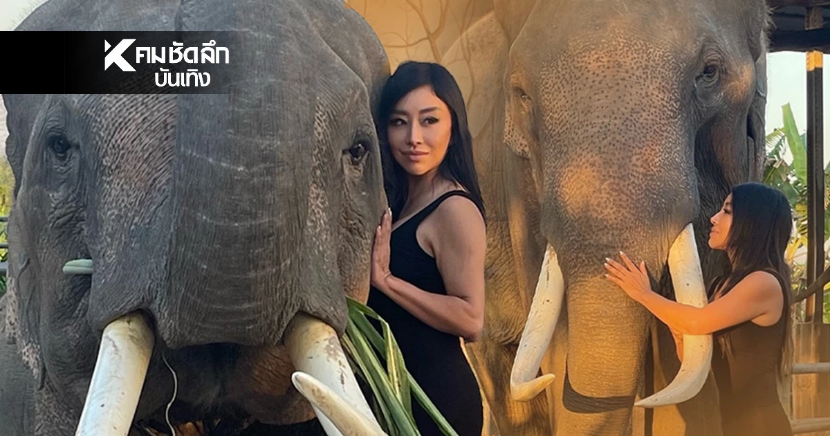 อยากให้มีความยุติธรรม "ปลา บลา บลา" รับไม่ได้ "ช้างสีดอหูพับ" เสียชีวิต