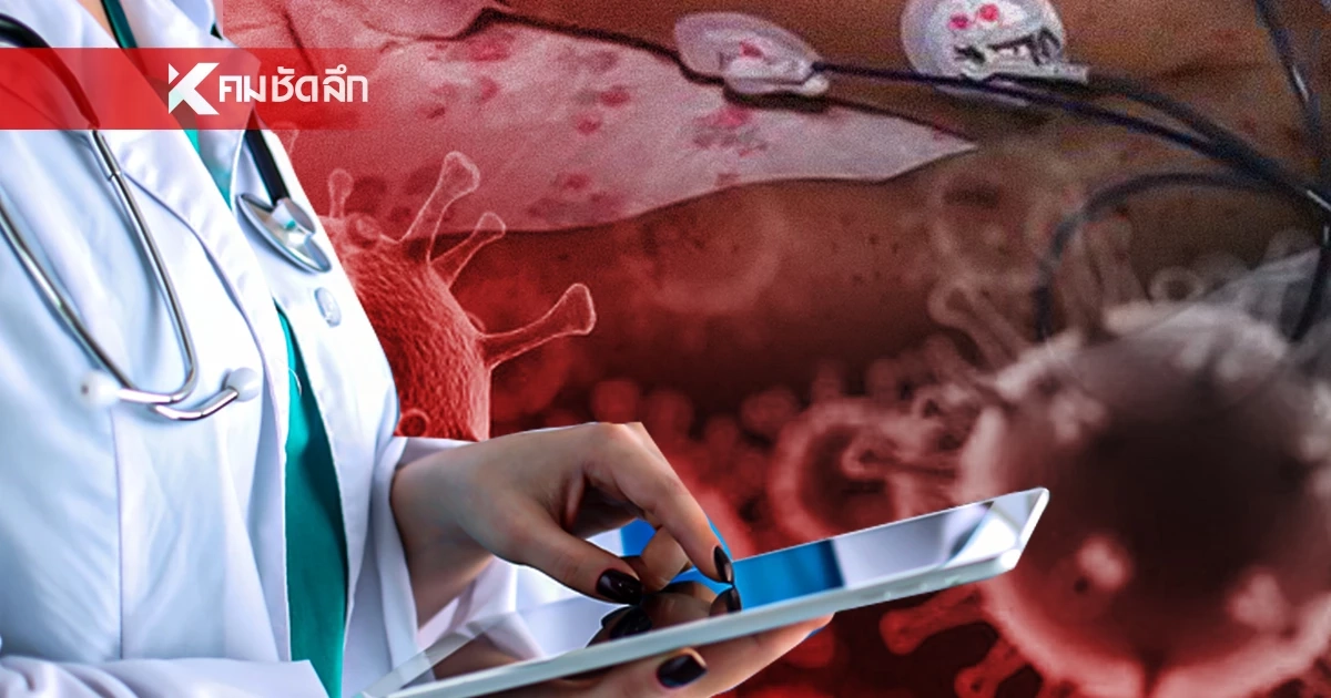 เพชฌฆาตเงียบเจาะลึก “ไข้กาฬหลังแอ่น” หลังระบาดหนักที่อังกฤษ