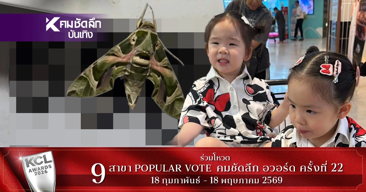 เลขเด็ดงวดนี้ 16/3/69 ผีเสื้อเกาะเลขทะเบียนรถ "น้องอัยวา-น้องอัญญา"