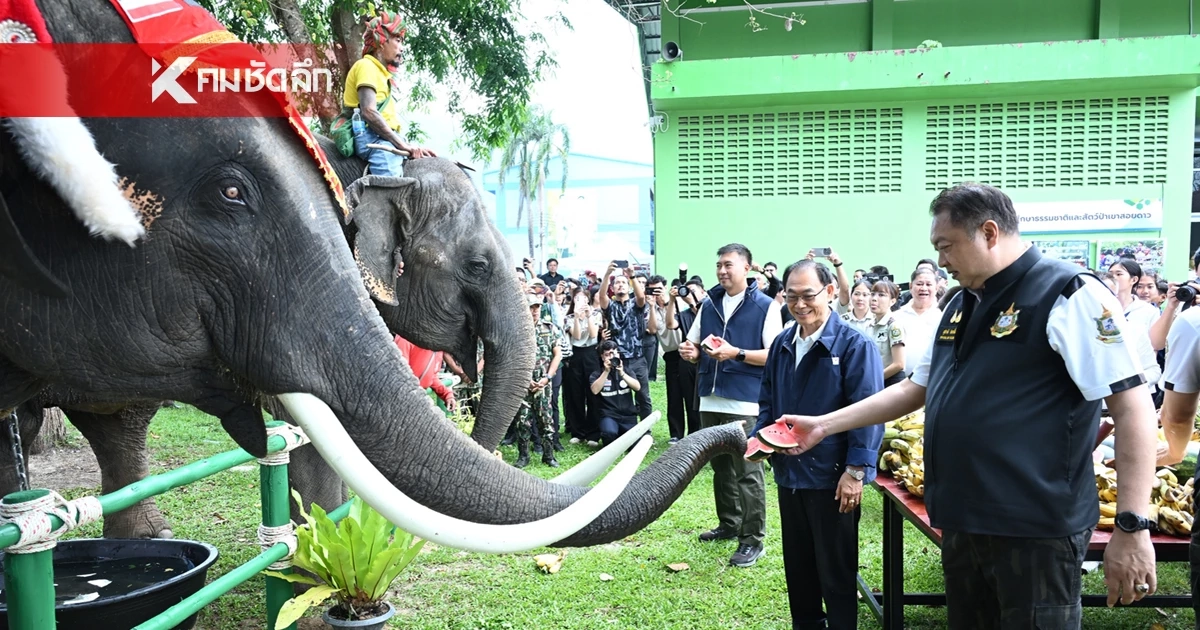 วันช้างไทย 69 "สุชาติ" ทำบุญอุทิศให้คน-ช้าง​ เสียชีวิต พร้อมอัดงบเยียวยา 7.3 ล้าน