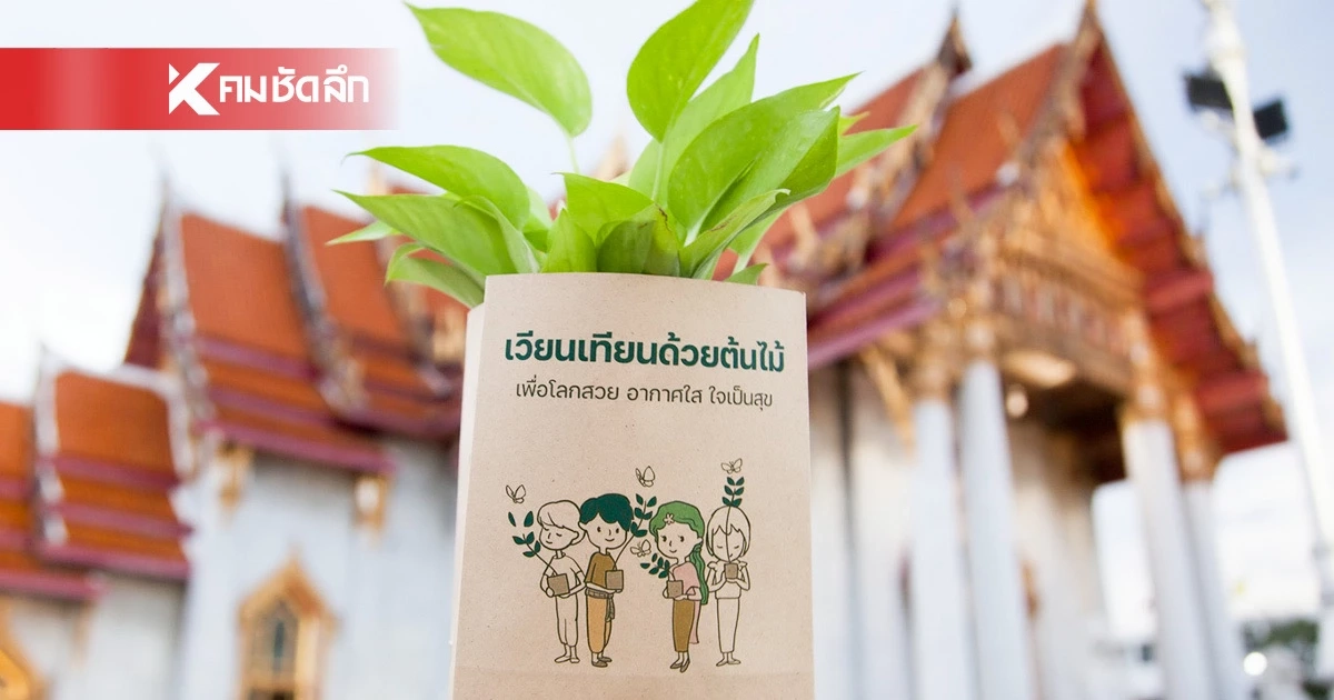 มาฆบูชา2569 แจกพิกัดวัดทั่วไทย  ‘เวียนเทียนต้นไม้’  รับกล้าไม้ฟรีกลับบ้าน