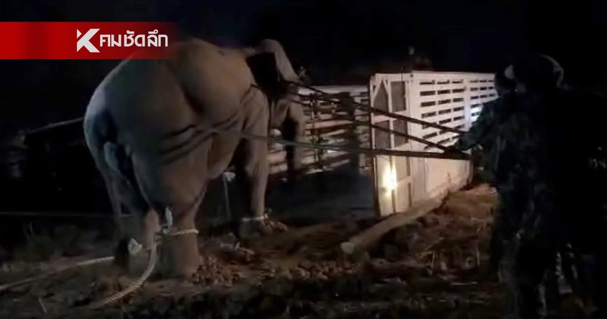 กรมอุทยานฯ จ่อแถลงผลสอบ 