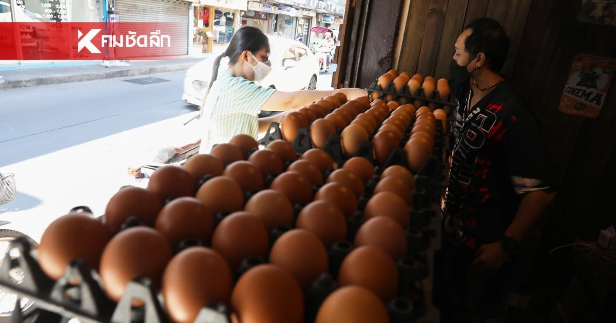 เครือข่ายสหกรณ์ผู้เลี้ยงไก่ไข่ ปรับขึ้นราคาไข่แผงละ 6 บาท