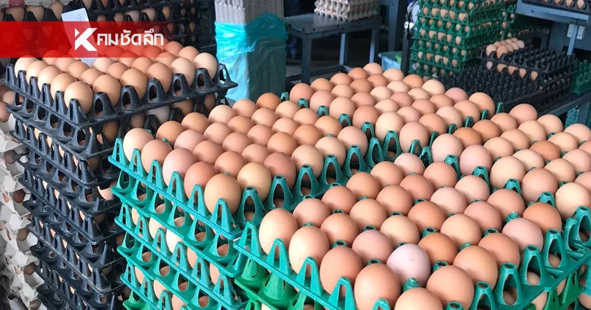 เปิดสาเหตุแท้จริงที่ทำให้ราคาไข่ไก่พุ่ง บีบจนเกษตรกรอั้นไม่ไหว