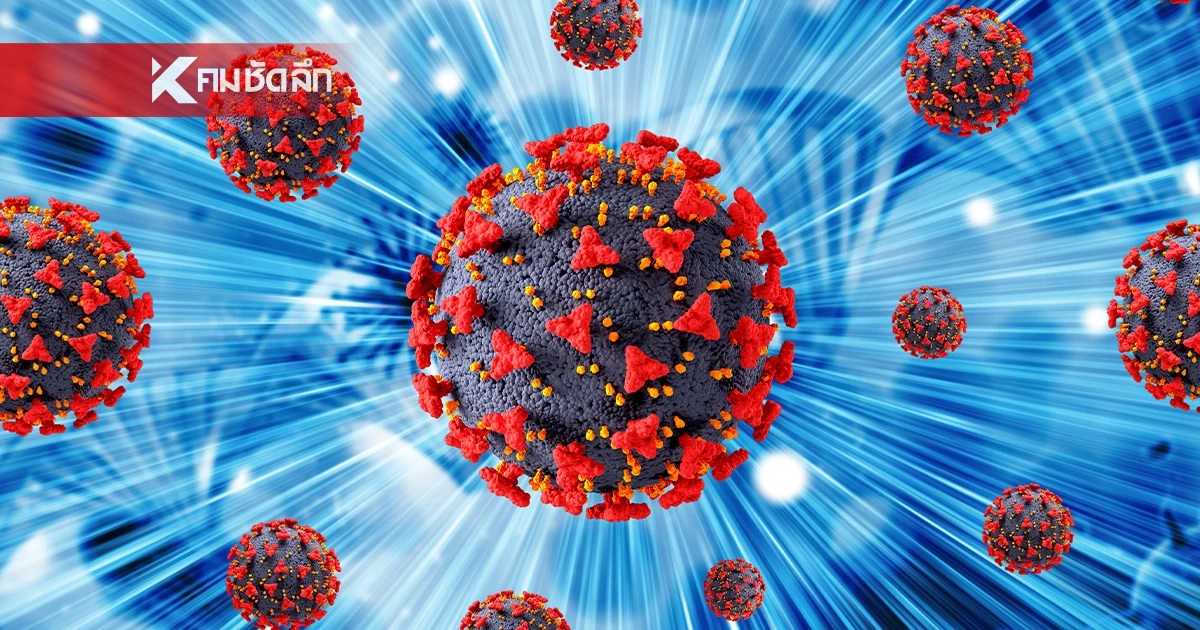 เคลียร์ชัด! โควิด Cicada ไม่ได้มาจากจิ้งหรีด เผยที่มาชื่อสุดแปลก