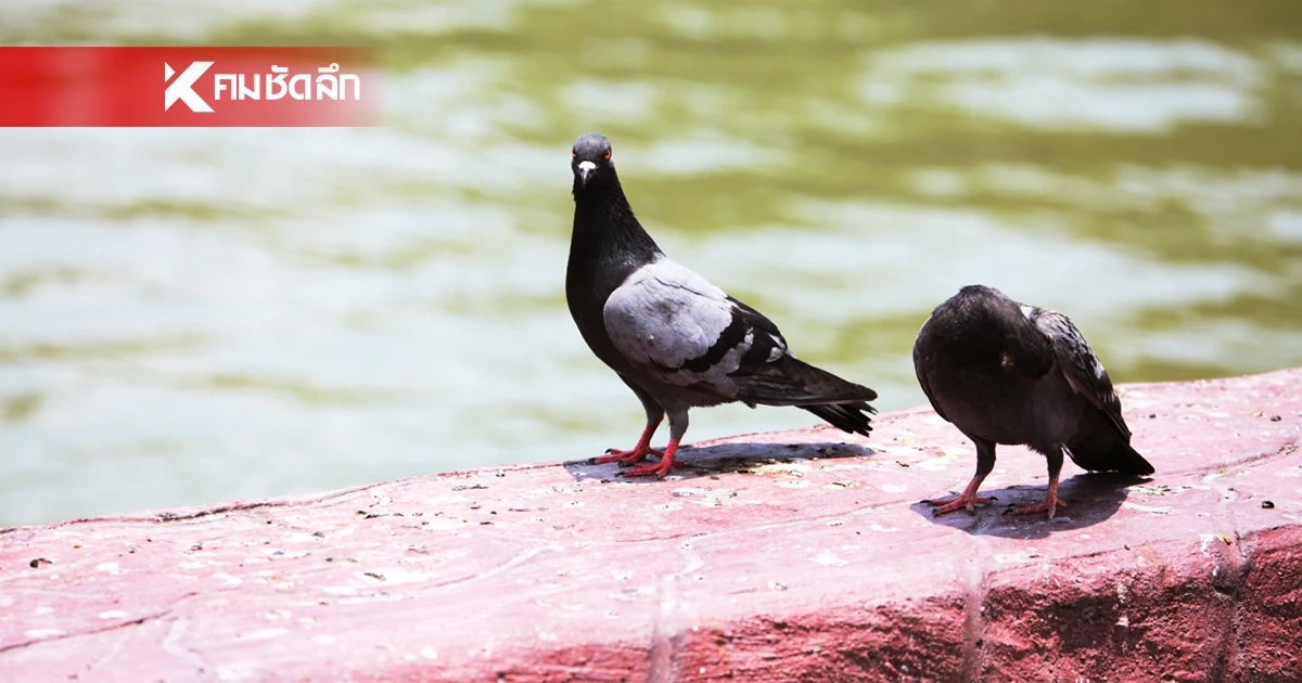 ขอยาดไปสิงในตู้เย็น! ร้อนจัด ภาคกลางแชมป์เปี้ยน 42 องศาฯ