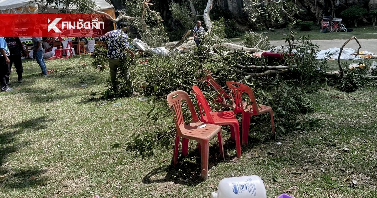 ช็อก! ต้นไม้ใหญ่ โค่นทับเต็นท์ พิธีงานบุญ ชาวบ้านดับ 2 เจ็บหลายราย