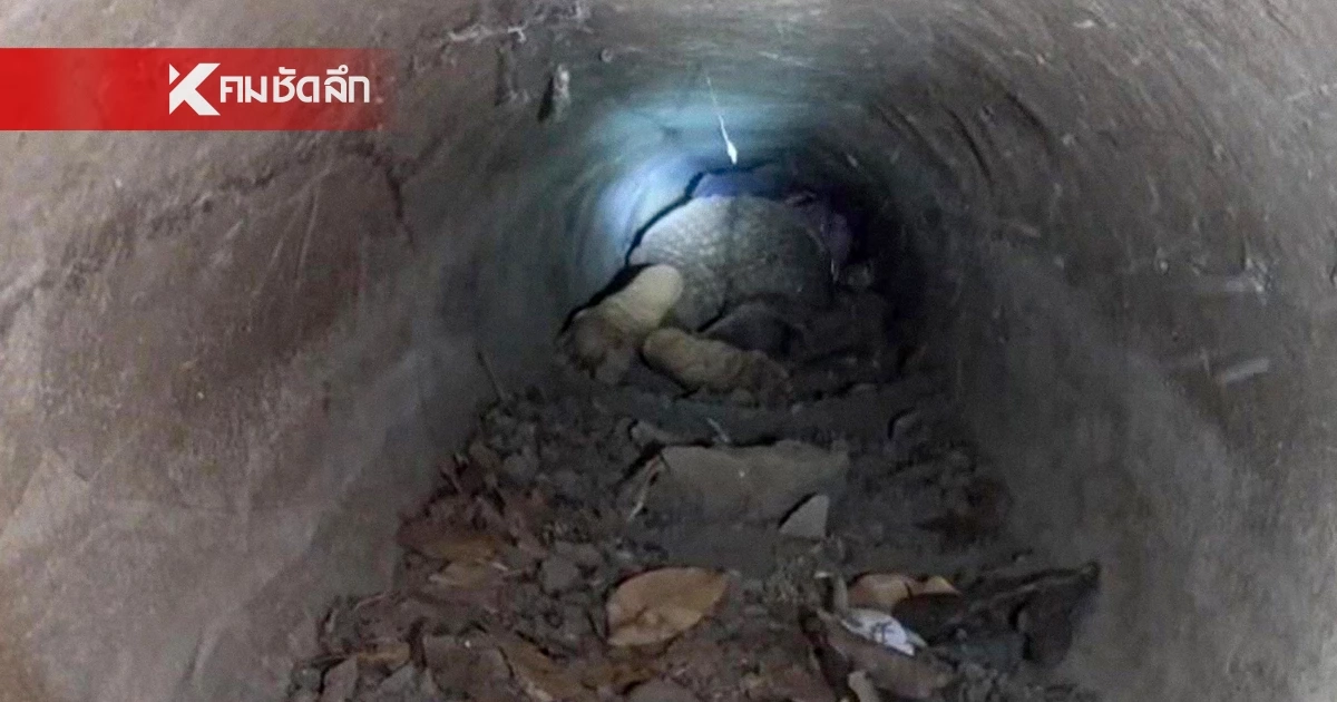 นาทีชีวิต! กู้ภัยเจาะท่อช่วยยายวัย 81 มุดช่วยสุนัข จนติดท่อเป็นลม