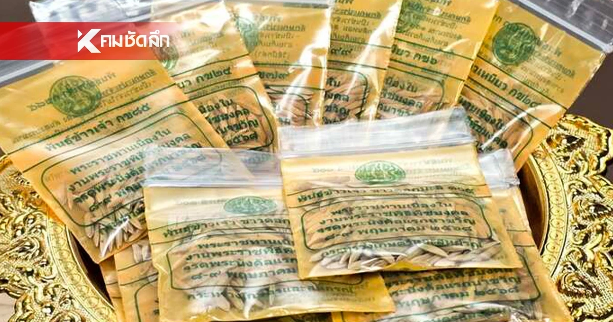 เปิดขั้นตอนการรับ "เมล็ดพันธุ์ข้าว" พระราชทาน ลงทะเบียนได้ถึง 30 เม.ย. 69