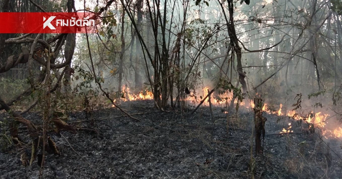 ทส. สยบไฟป่าเชียงใหม่ ฮอตสปอตลดฮวบ-ระดมพล "ทส. หนึ่งเดียว" กู้คืนอากาศบริสุทธิ์