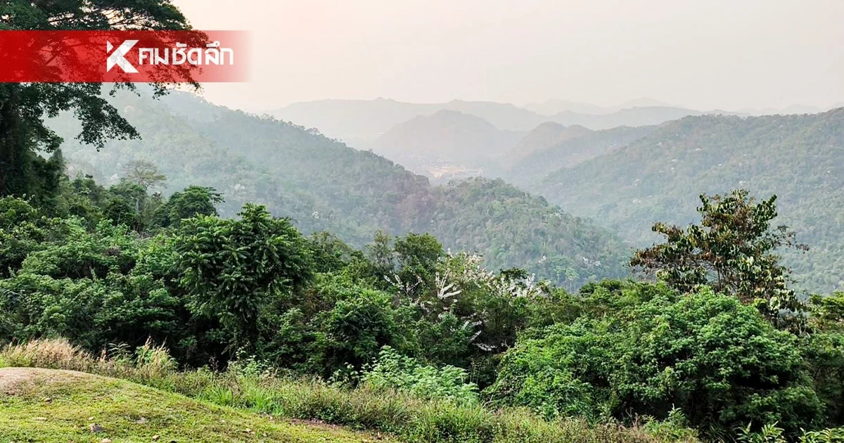 ฉลองวันครอบครัว (14 เม.ย. 69) เที่ยวอุทยานฯ ทั่วไทย คนไทยเข้าฟรี ฉลองวันครอบครัว (14 เม.ย. 69) เที่ยวอุทยานฯ ทั่วไทย คนไทยเข้าฟรี